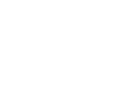 Berta's Journal