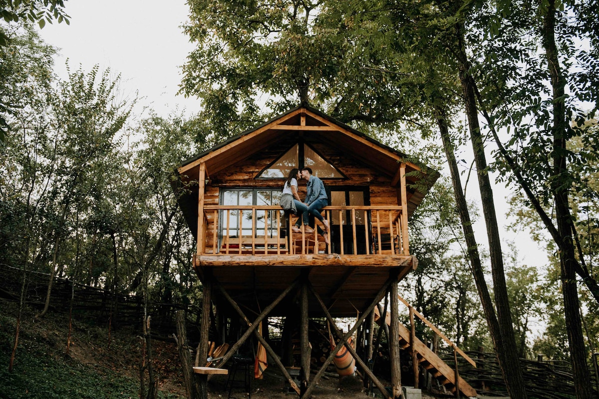Loft Treehouse, Adult Only Resort - Treehouses for Rent in Pesteana, Romania, Romania - Airbnb